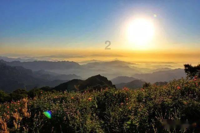 准备离婚了，选择协议离婚还是起诉离婚好？游戏画面