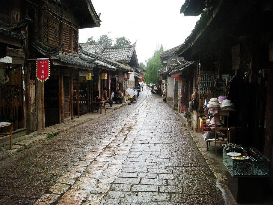 盗金父子俩4